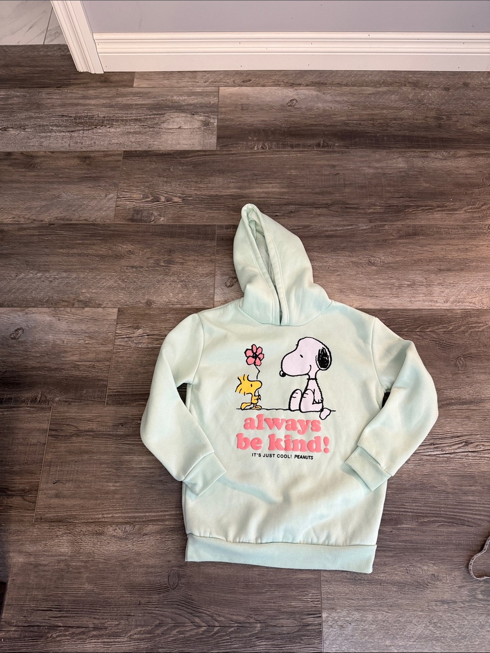 Peanuts Mint Green Hoodie with Snoopy & Woodstock Graphic